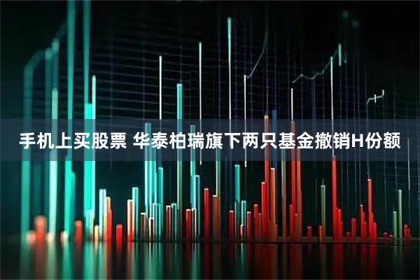 手机上买股票 华泰柏瑞旗下两只基金撤销H份额
