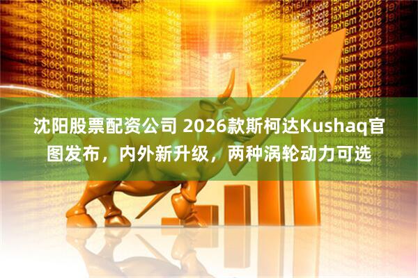 沈阳股票配资公司 2026款斯柯达Kushaq官图发布，内外新升级，两种涡轮动力可选