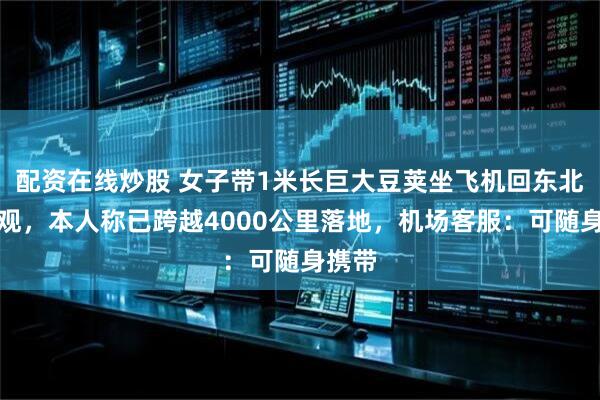 配资在线炒股 女子带1米长巨大豆荚坐飞机回东北引围观，本人称已跨越4000公里落地，机场客服：可随身携带